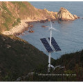 Wind Solar Hybrid Street Light/Wind Solar Hybrid Street Lamp